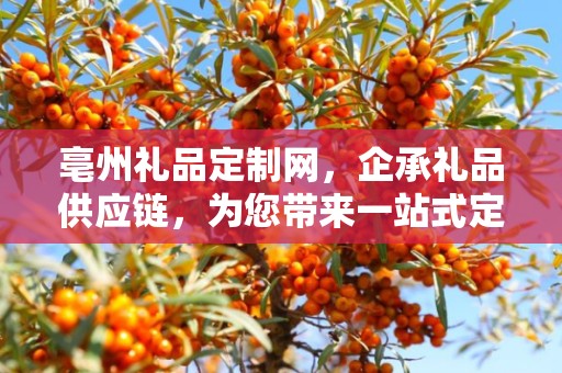 亳州礼品定制网，企承礼品供应链，为您带来一站式定制体验